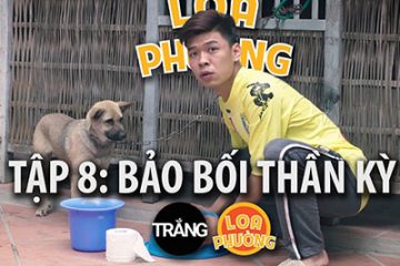 loa-phuong-tap-8