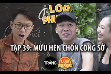 loa-phuong-39